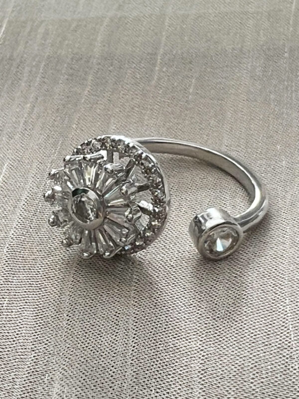 Whirl rotating ring